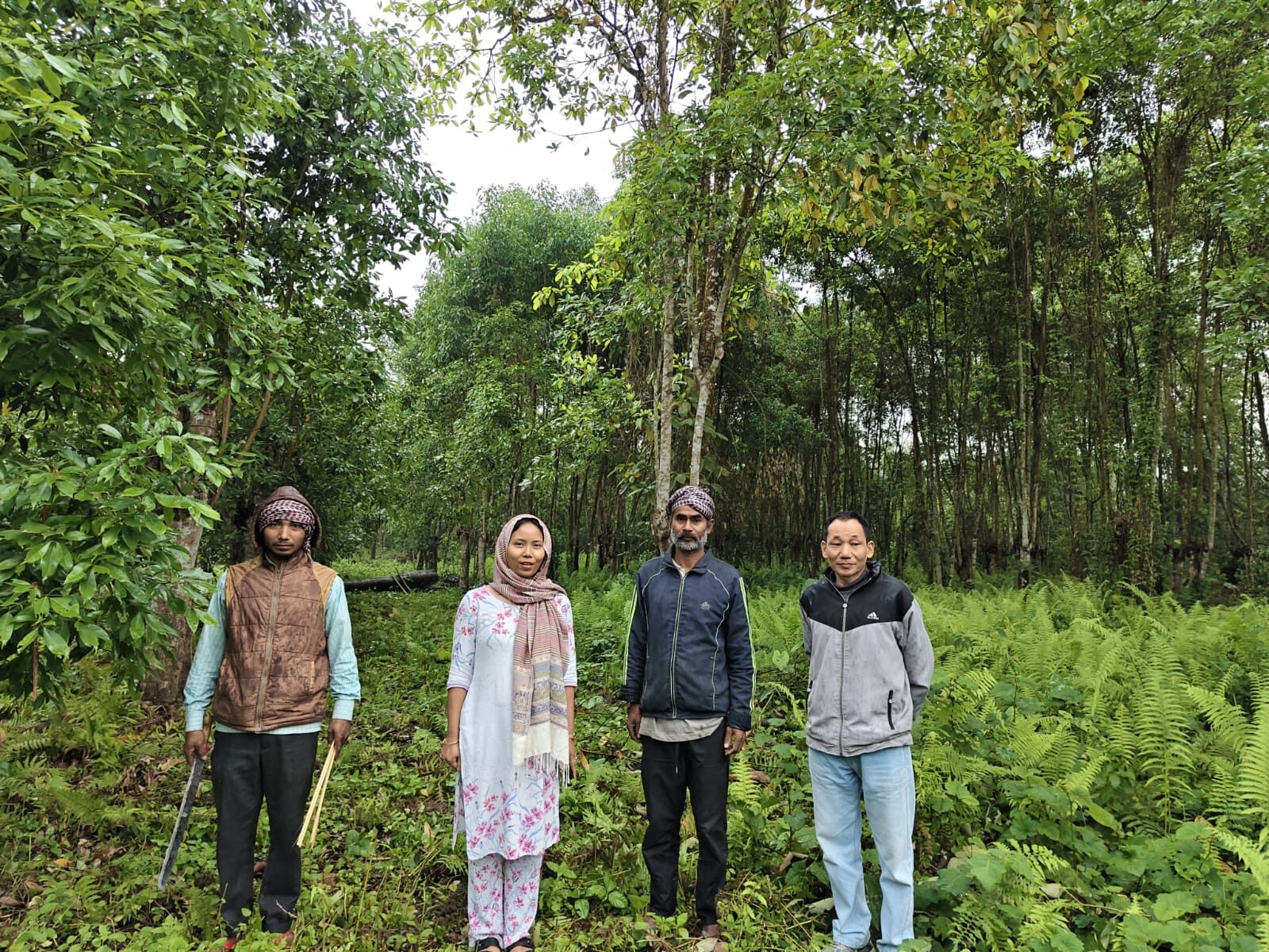 Staff and rearers in a host plant plantation.